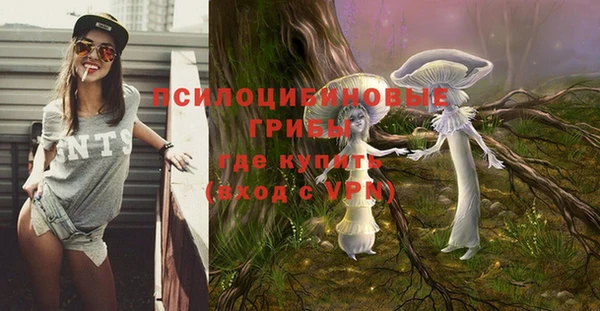 гашиш Белокуриха