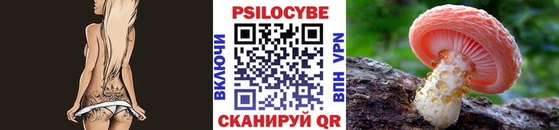 Галлюциногенные грибы Psilocybine cubensis  Шумерля 